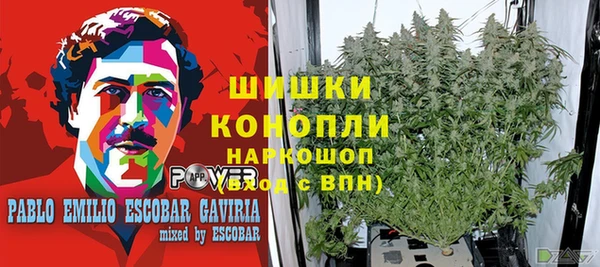 хмурый Балабаново