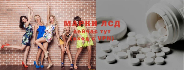 шишки Баксан
